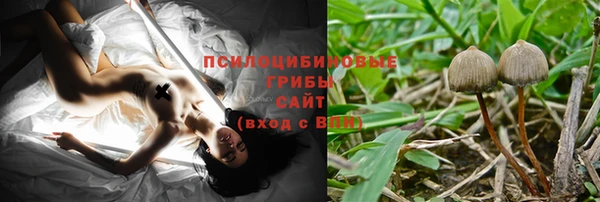 МДПВ Горнозаводск