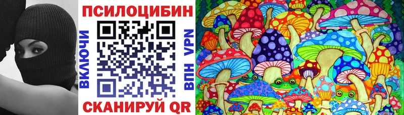 Псилоцибиновые грибы Cubensis  darknet какой сайт  Карабаш 